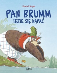 Pan Brumm idzie się kąpać - Napp Daniel - książka