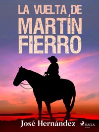 La vuelta de Martín Fierro - José Hernández - ebook