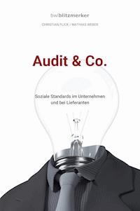 bwlBlitzmerker: Audit & Co. - Christian Flick - ebook
