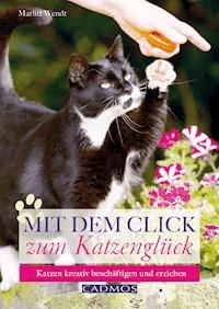Mit dem Click zum Katzenglück - Marlitt Wendt - ebook