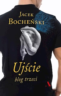 Ujście Blog trzeci - Jacek Bocheński - książka