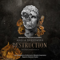 Destruction - Śnieżewska Amelia - ebook + audiobook + książka