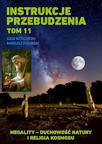 Instrukcje przebudzenia Tom 11 - Igor Witkowski - książka