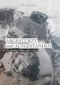 Abgestürzt und aufgestanden - Hans-Jürgen Ruck - ebook