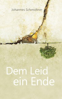 Dem Leid ein Ende - Johannes Schmidtner - ebook