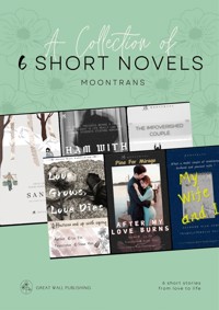 A Collection of 6 Short Novels - Yin Lu - ebook