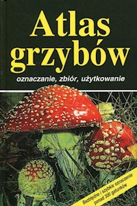 Atlas grzybów - Fluck Markus - książka