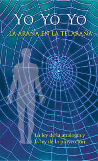 Yo Yo Yo. La araña en la telaraña - Gabriele, Dipl. Ing. Höller - ebook