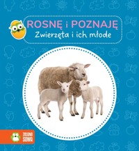 Rosnę i poznaję. Zwierzęta i ich młode - zbiorowa praca - książka