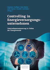 Controlling in Energieversorgungsunternehmen -  - ebook