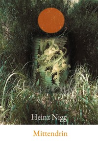 Mittendrin - Heinz Nigg - ebook
