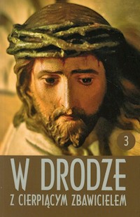 W drodze z cierpiącym Zbawicielem Tom 3 -  - książka