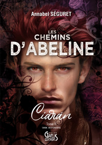 Ciarán - Annabel Séguret - ebook