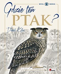 Gdzie ten ptak - Kilon Dawid - książka