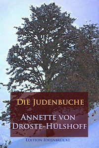 Die Judenbuche - Annette  Droste-Hülshoff - ebook