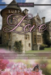 Surprised by Love - Susan Lowenberg - ebook