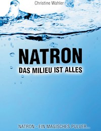 Natron - Christine Wahler - ebook