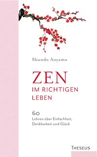 Zen im richtigen Leben - Shundo Aoyama - ebook