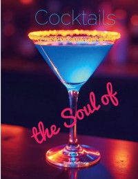 The Soul of Cocktails - Stefan Hoffmann - ebook