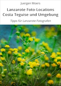Lanzarote Foto-Locations Costa Teguise und Umgebung - Juergen Moers - ebook