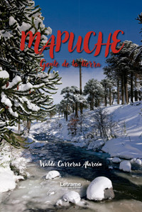 Mapuche - Waldo Carreras Alarcón - ebook