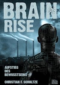 Brainrise - Christian F. Schultze - ebook