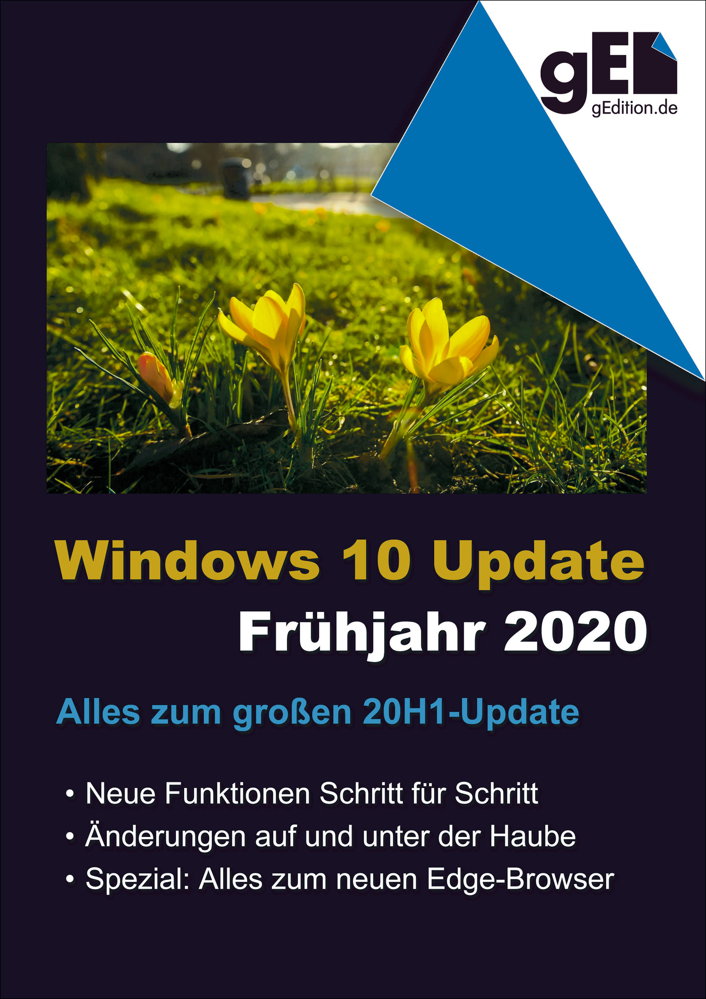 Windows 10 Update - Frühjahr 2020 - Wolfram Gieseke - ebook