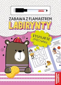 Zabawa z flamastrem. Labirynty - Salamon Katarzyna - książka