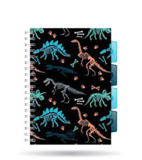 Coolpack, Kołobrulion Project Book B5 - Fossil (26998CP) -  - książka