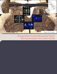 Reorganization of  a Spinal Motoneuron Nucleus following Autologous Nerve Graft in the Rat - Dieter M. Weinert - ebook