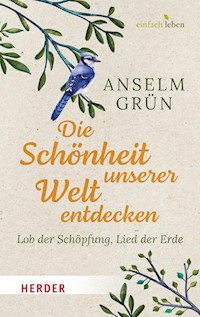 Die Schönheit unserer Welt entdecken - Grun Anselm - ebook