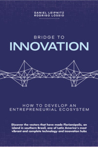 Bridge To Innovation - Daniel Leipnitz And Rodrigo Lóssio - ebook