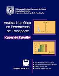 Análisis numérico en fenómenos de transporte. Casos de estudio - José Antonio Barrera Godínez - ebook