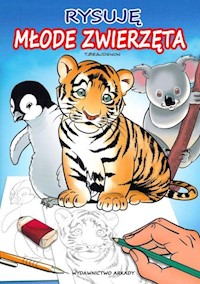 Rysuję Młode zwierzęta - Beavdenon Thierry - książka
