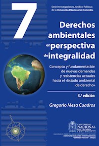 Derechos ambientales en perspectiva de integralidad - Gregorio Mesa Cuadros - ebook