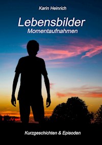 Lebensbilder Momentaufnahmen - Karin Heinrich - ebook