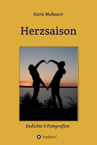 Herzsaison - Gerit Mehnert - ebook