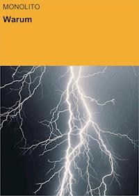 Warum - Klaus Thieme - ebook