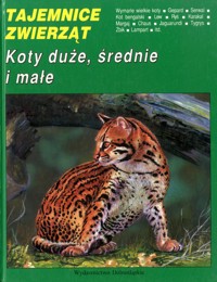 Tajemnice zwierząt. Koty duże, średnie i małe - Tomasz Kokurewicz - ebook