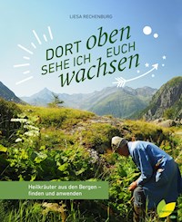 Dort oben sehe ich euch wachsen - Liesa Rechenburg - ebook