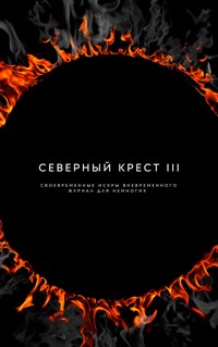 Северный крест III - Михаил Раузер - ebook