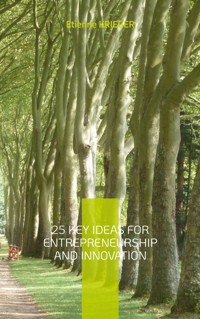 25 Key Ideas for Entrepreneurship and Innovation - Etienne Krieger - ebook