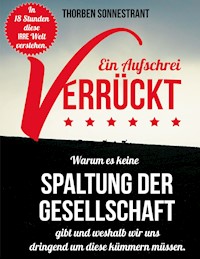 Verrückt - ein Aufschrei - Thorben Sonnestrant - ebook