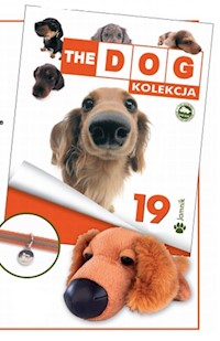 The dog Jamnik 19 - - książka