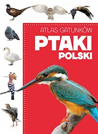 Atlas gatunków Ptaki Polski -  - książka