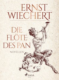 Die Flöte des Pan - Novellen - Ernst Wiechert - ebook