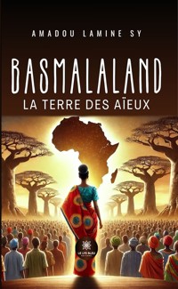 Basmalaland - Amadou Lamine Sy - ebook