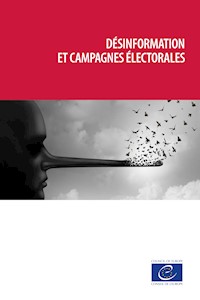 Désinformation et campagnes électorales - Yves-Marie Doublet - ebook