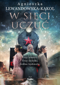 W sieci uczuć - Agnieszka Lewandowska-Kąkol - ebook + książka