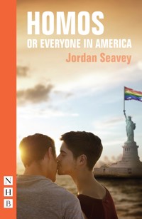 Homos, or Everyone in America - Jordan Seavey - ebook